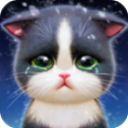 小猫爱消除无限金币版