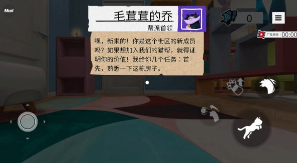 奶奶的贴心小猫