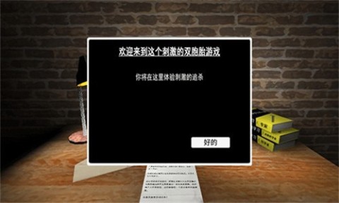 惊魂双胞胎 第1张图