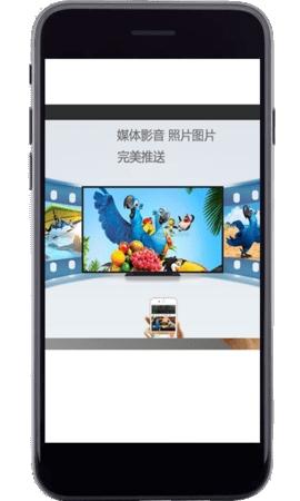 毛豆投屏安卓版v1.0.5