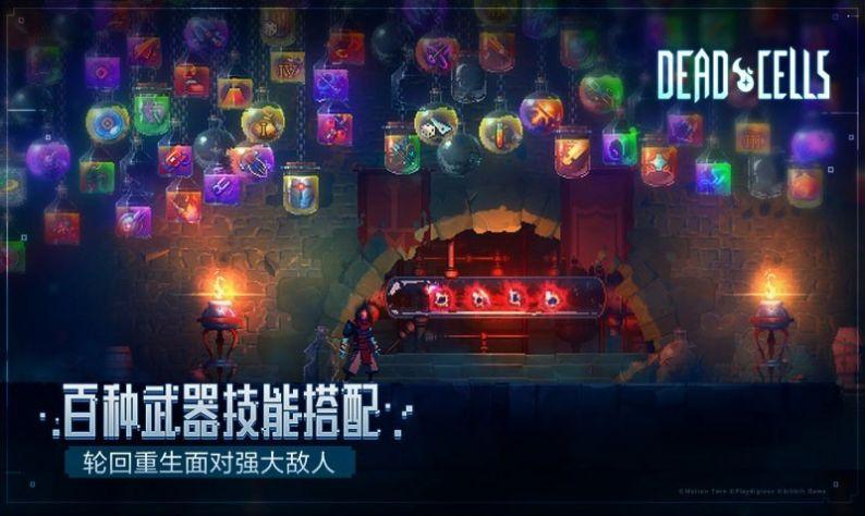重生细胞免费版高清大图 重生细胞免费版v2.7.6