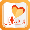 桃小说安卓版v5.11.2.08